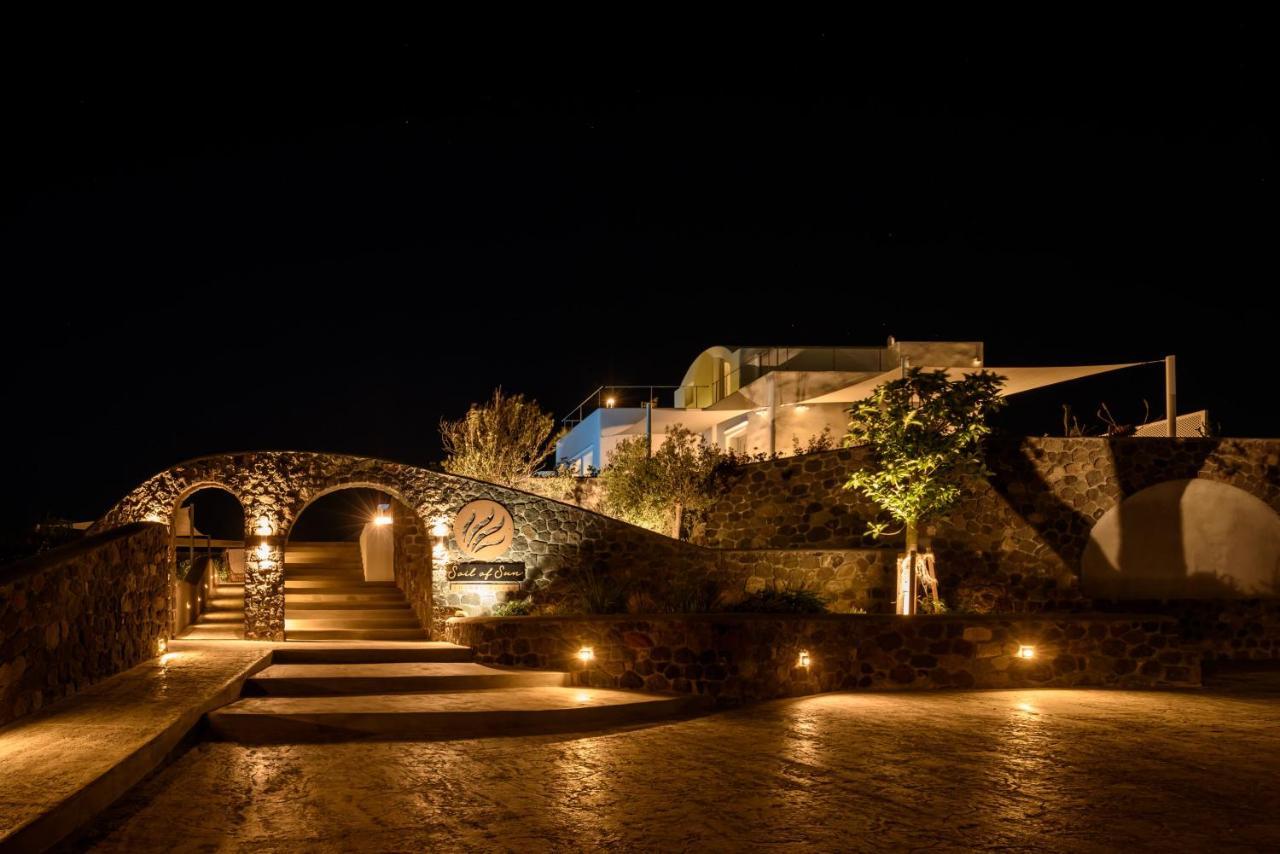Soil Of Sun Luxury Villas Megalochori  Exterior foto
