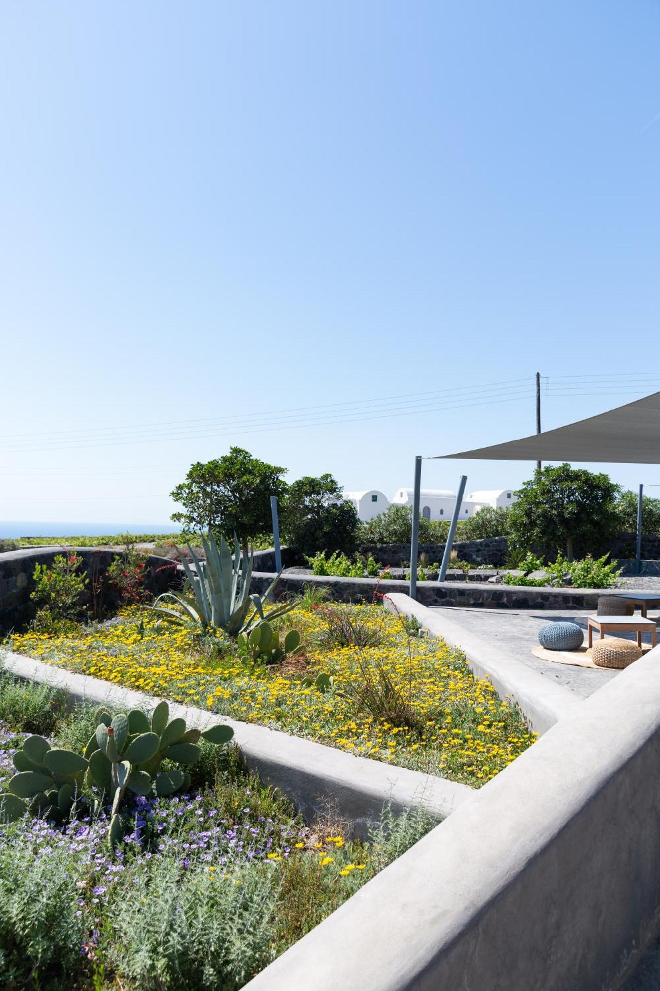 Soil Of Sun Luxury Villas Megalochori  Exterior foto