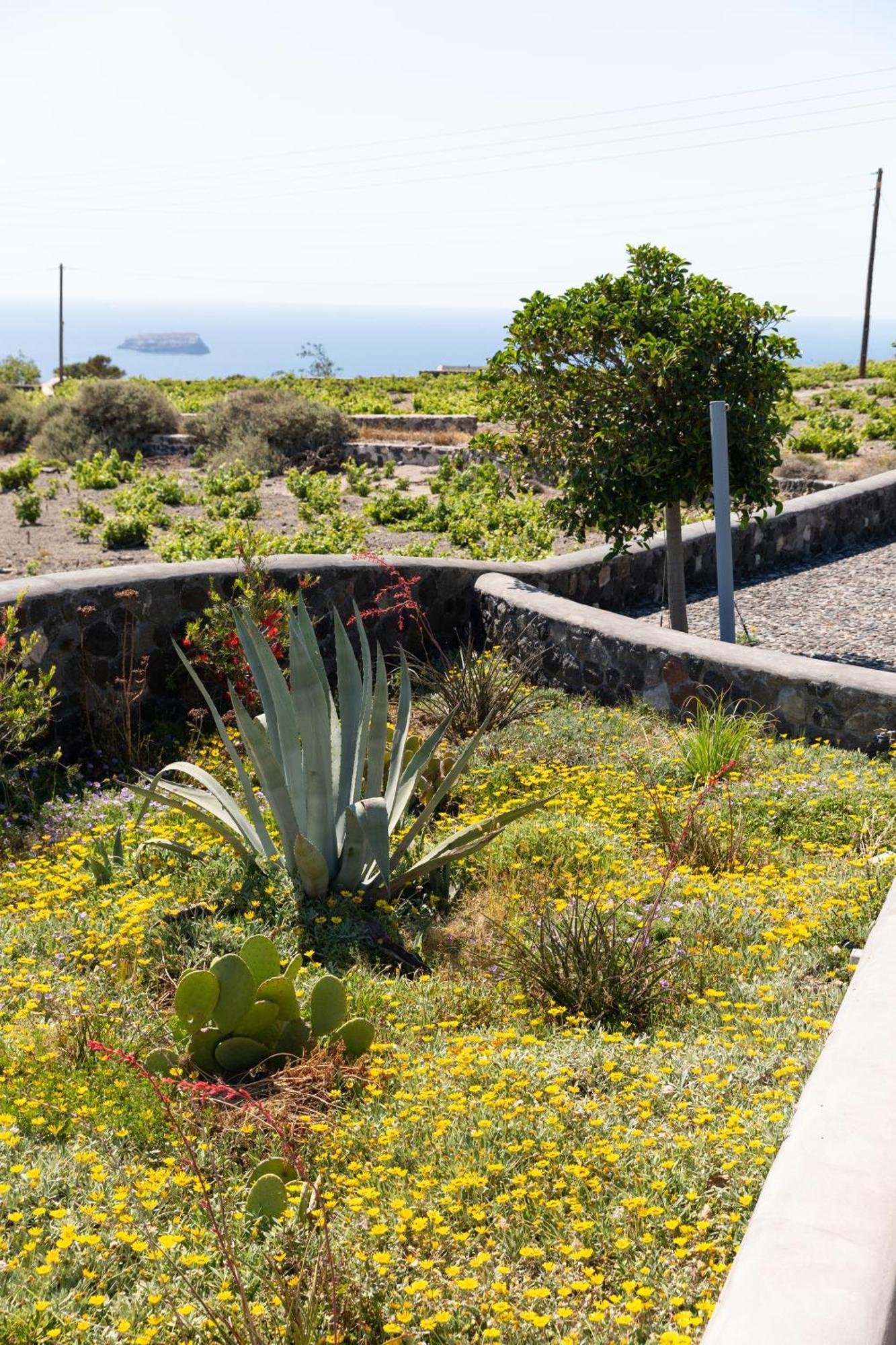 Soil Of Sun Luxury Villas Megalochori  Exterior foto
